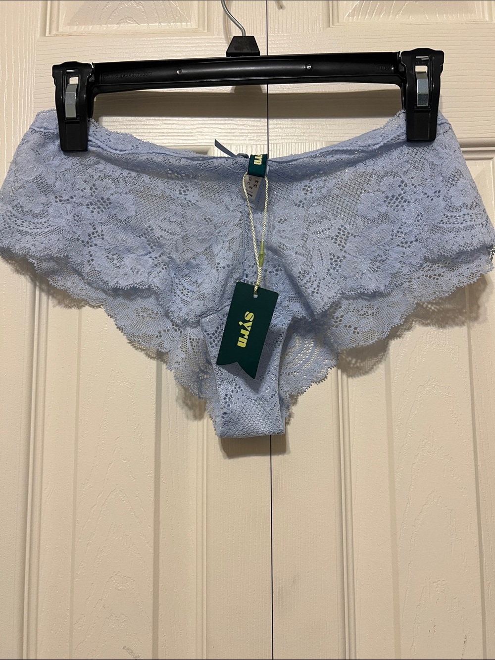 SYRN Delicate Lace Hipster Panty in Light of Blue